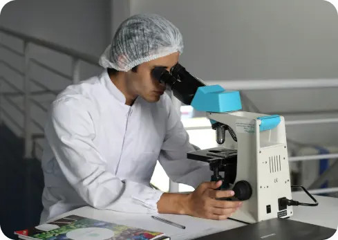 Pipeline Research Image